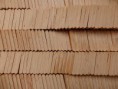 /album/fotogaleria-obchodna-cinnost/p7210743-jpg/