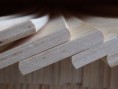 /album/fotogaleria-obchodna-cinnost/p7210755-jpg/